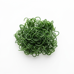 Espirulina